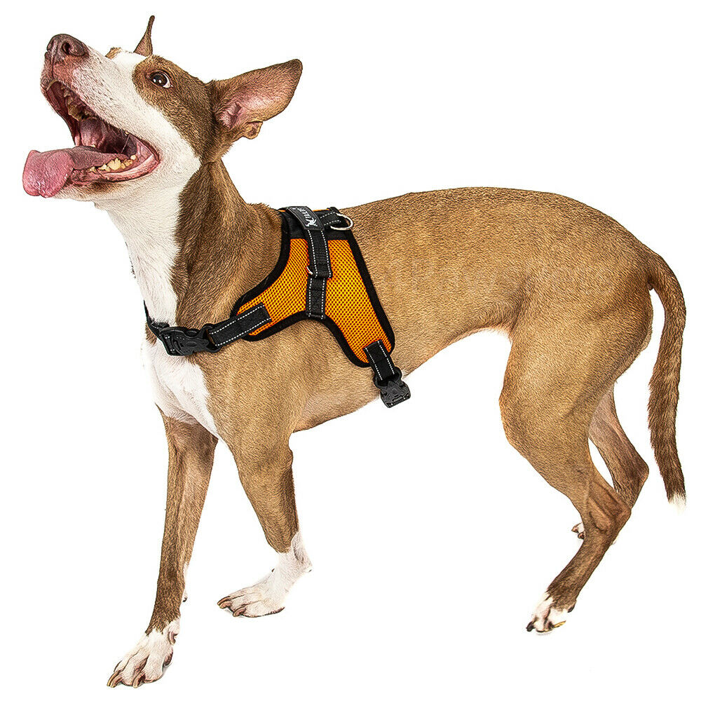 Pet Leashes - Dog Harness - No Pull Adjustable Reflective Vest - XS S M L XXl -
