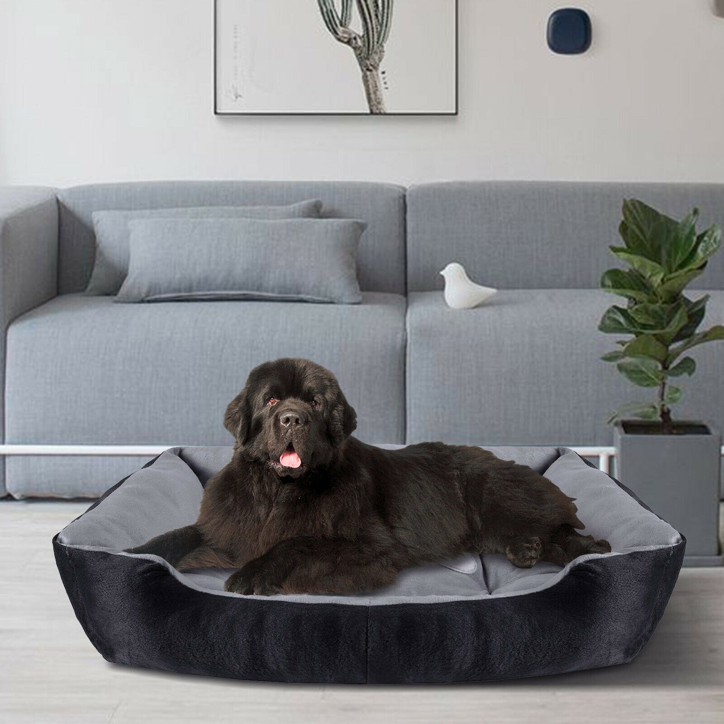 Pet Bed Accessories - Soft Washable Orthopedic Pet Bed - For Dogs or Cats -