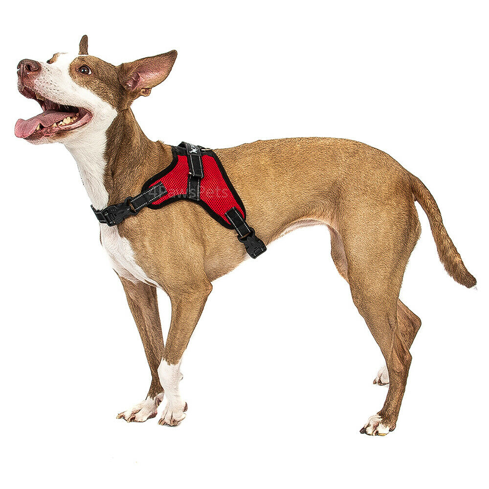 Pet Leashes - Dog Harness - No Pull Adjustable Reflective Vest - XS S M L XXl -