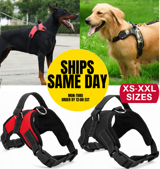 Pet Leashes - Dog Harness - No Pull Adjustable Reflective Vest - XS S M L XXl -