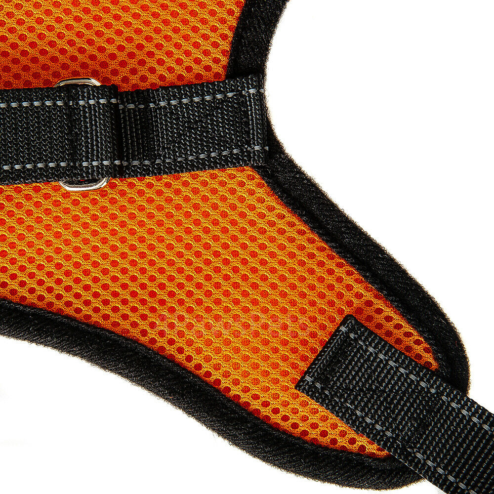 Pet Leashes - Dog Harness - No Pull Adjustable Reflective Vest - XS S M L XXl -