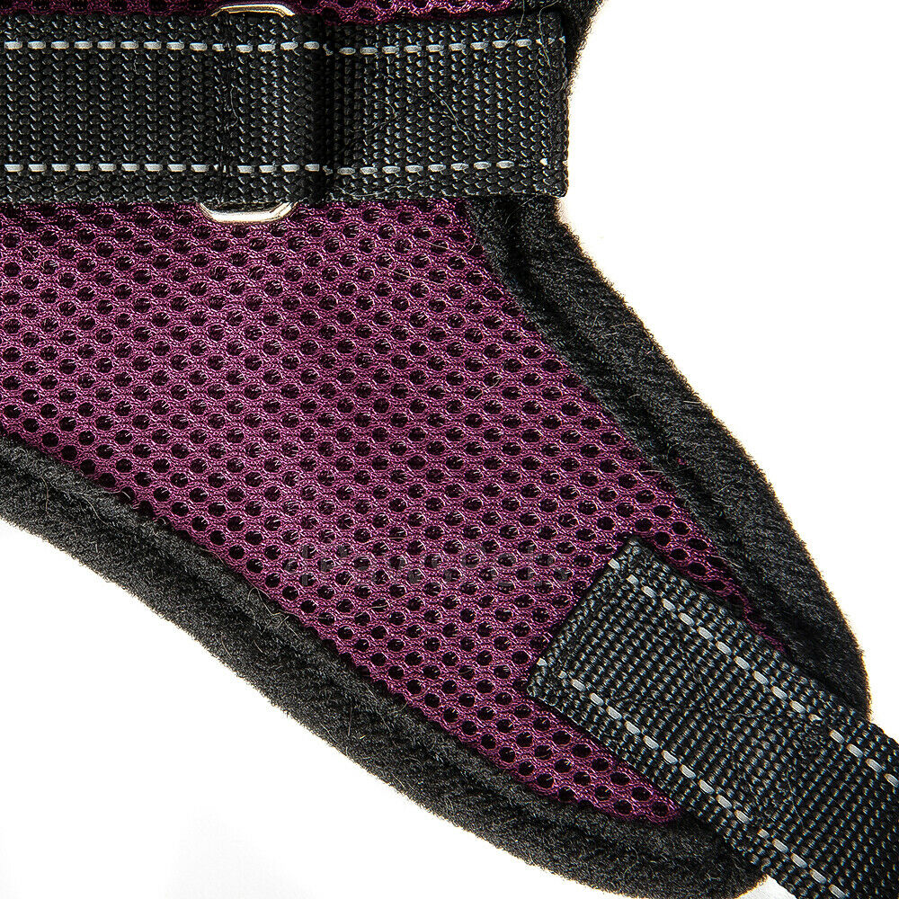 Pet Leashes - Dog Harness - No Pull Adjustable Reflective Vest - XS S M L XXl -