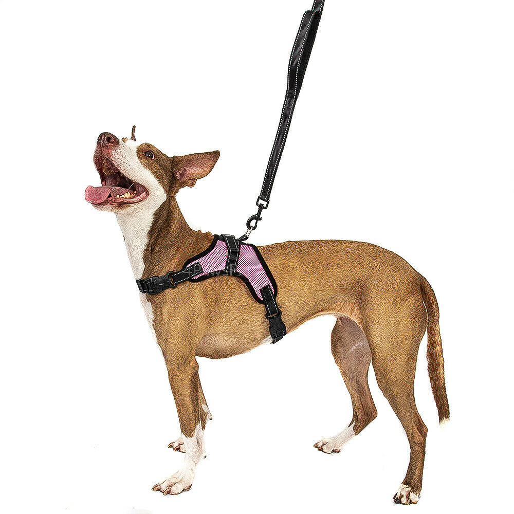 Pet Leashes - Dog Harness - No Pull Adjustable Reflective Vest - XS S M L XXl -