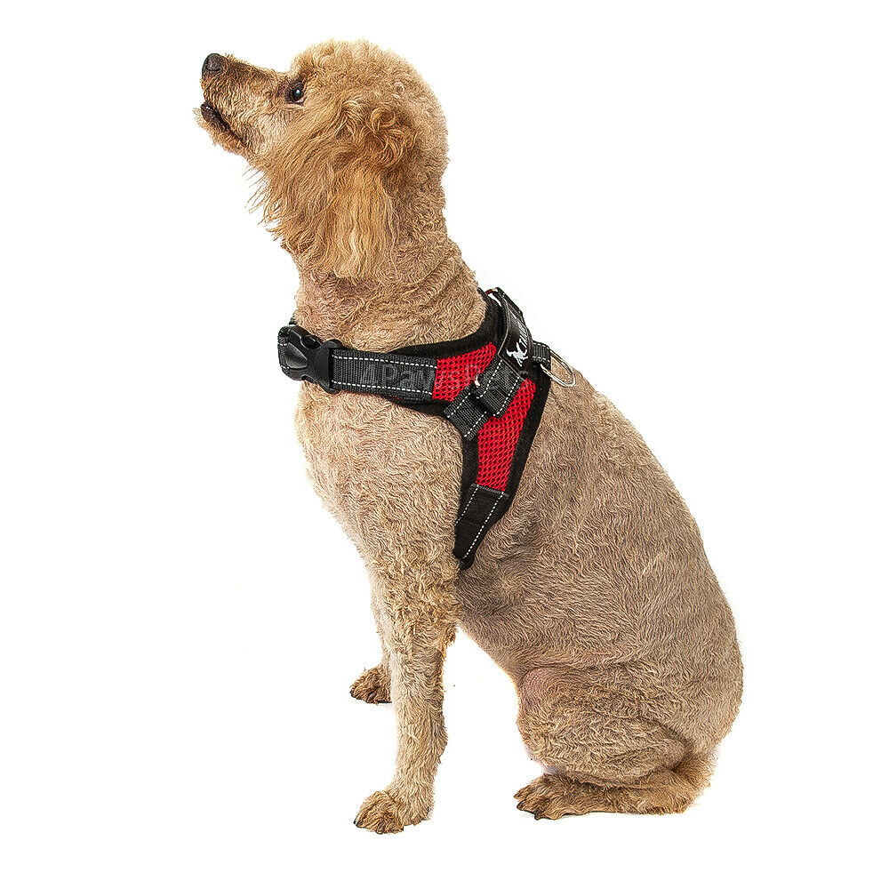 Pet Leashes - Dog Harness - No Pull Adjustable Reflective Vest - XS S M L XXl -