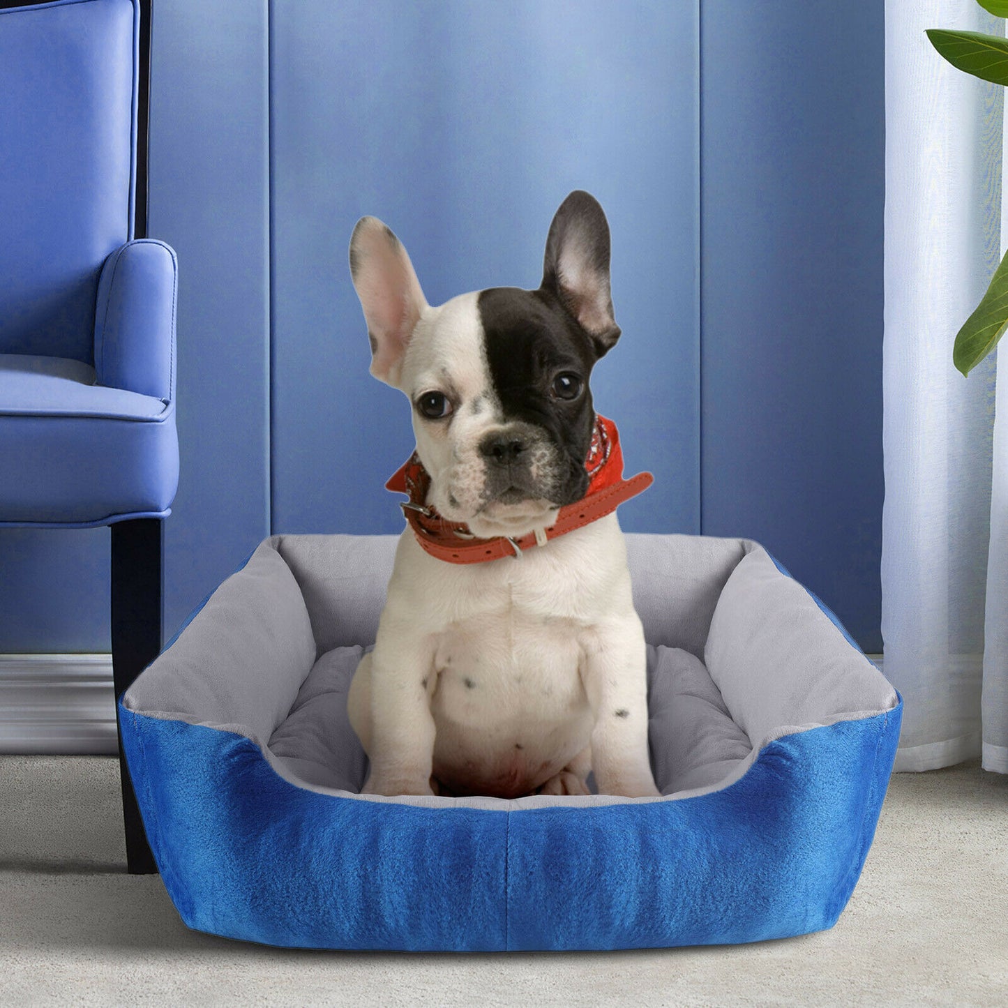 Pet Bed Accessories - Soft Washable Orthopedic Pet Bed - For Dogs or Cats -