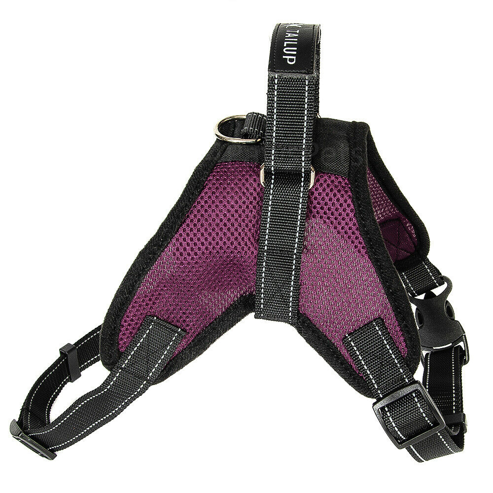 Pet Leashes - Dog Harness - No Pull Adjustable Reflective Vest - XS S M L XXl -