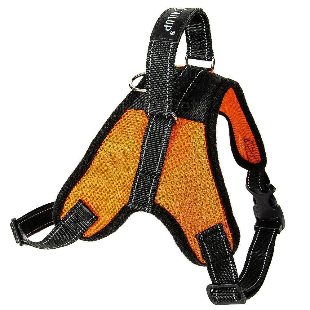Pet Leashes - Dog Harness - No Pull Adjustable Reflective Vest - XS S M L XXl - L / Orange-MESH