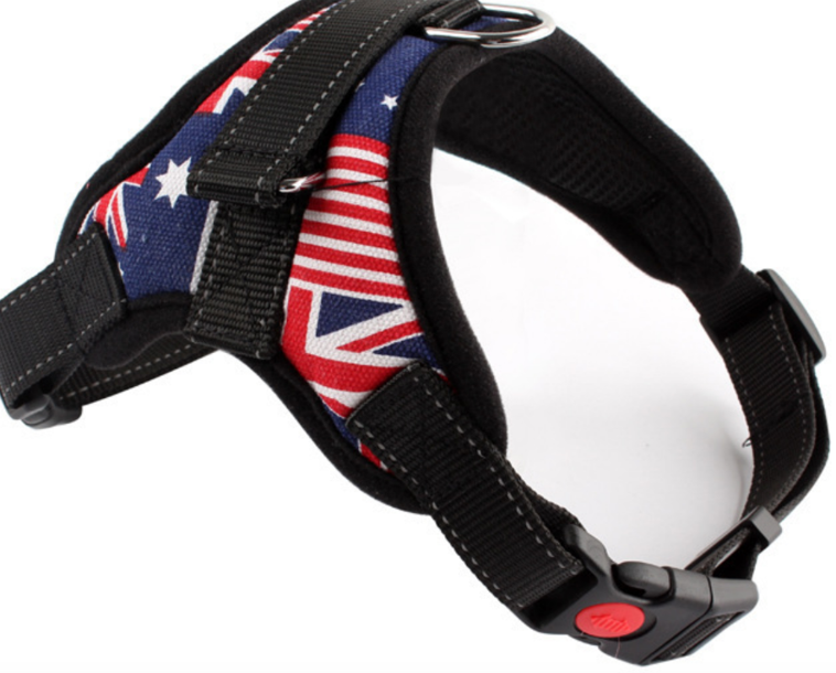 Pet Leashes - Dog Harness - No Pull Adjustable Reflective Vest - XS S M L XXl - XS / Flag