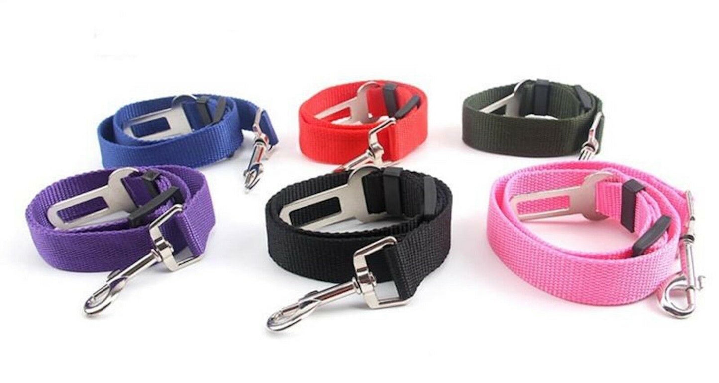 Pet Collars & Harnesses - Harness Collar Dog Seat Belt Leash - Car Restraint Safety Lead -