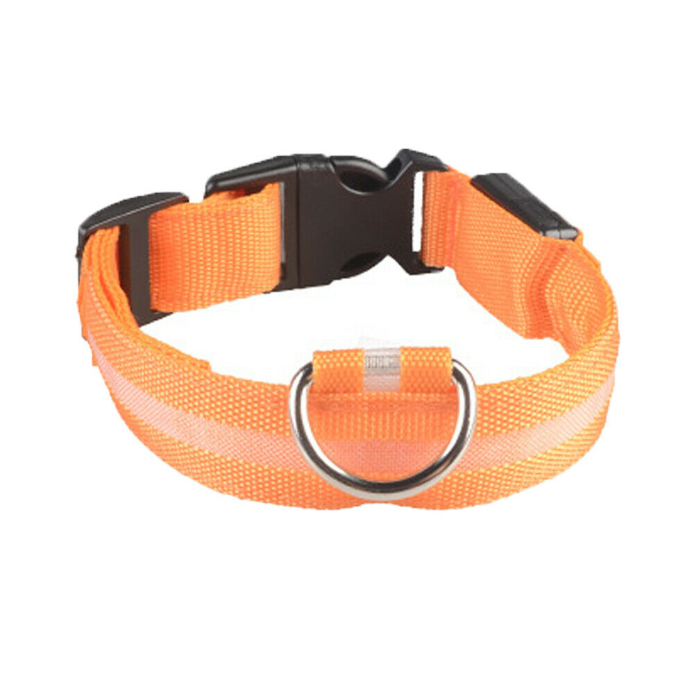 Pet Collars & Harnesses - Dog Collar - Safety LED Light Waterproof Pet Collar - Adjustable S-Xl -