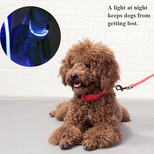 Pet Collars & Harnesses - Dog Collar - Safety LED Light Waterproof Pet Collar - Adjustable S-Xl -