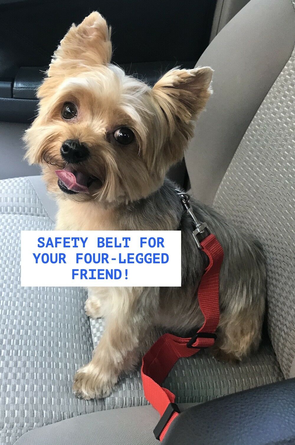 Pet Collars & Harnesses - Harness Collar Dog Seat Belt Leash - Car Restraint Safety Lead -