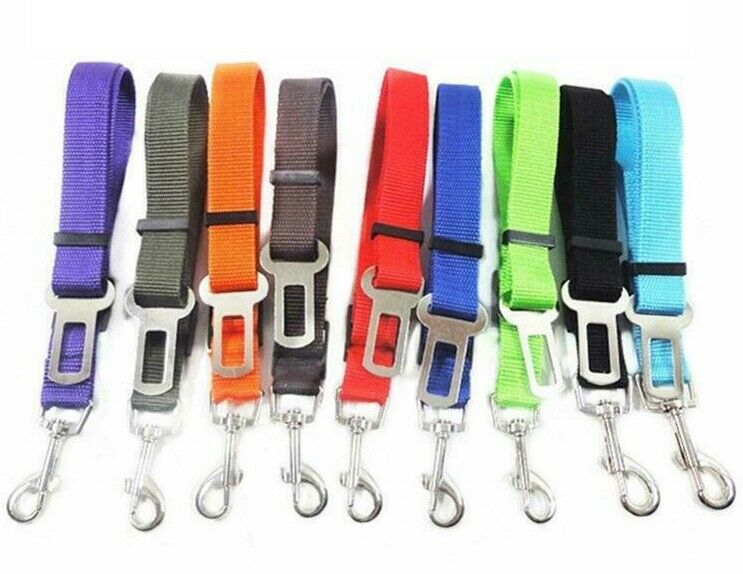 Pet Collars & Harnesses - Harness Collar Dog Seat Belt Leash - Car Restraint Safety Lead -