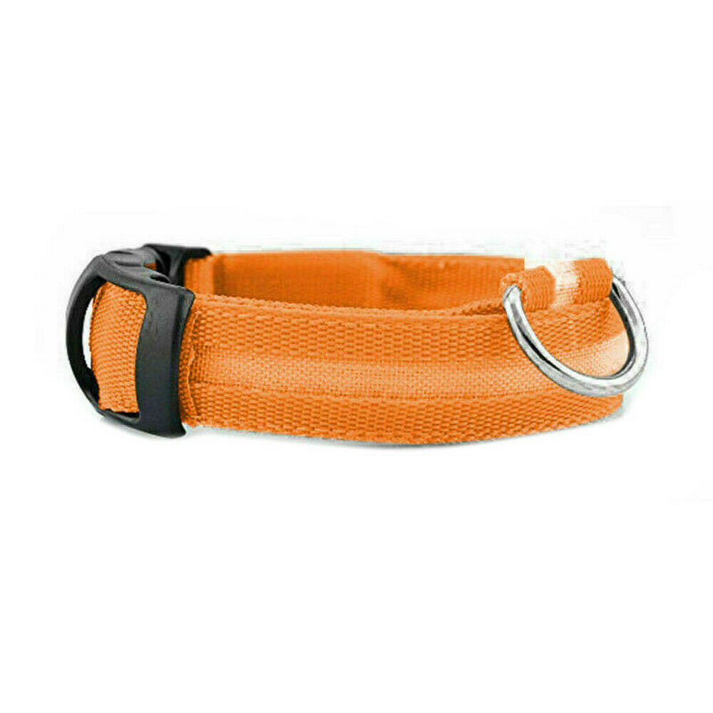 Pet Collars & Harnesses - Dog Collar - Safety LED Light Waterproof Pet Collar - Adjustable S-Xl - Medium / Orange