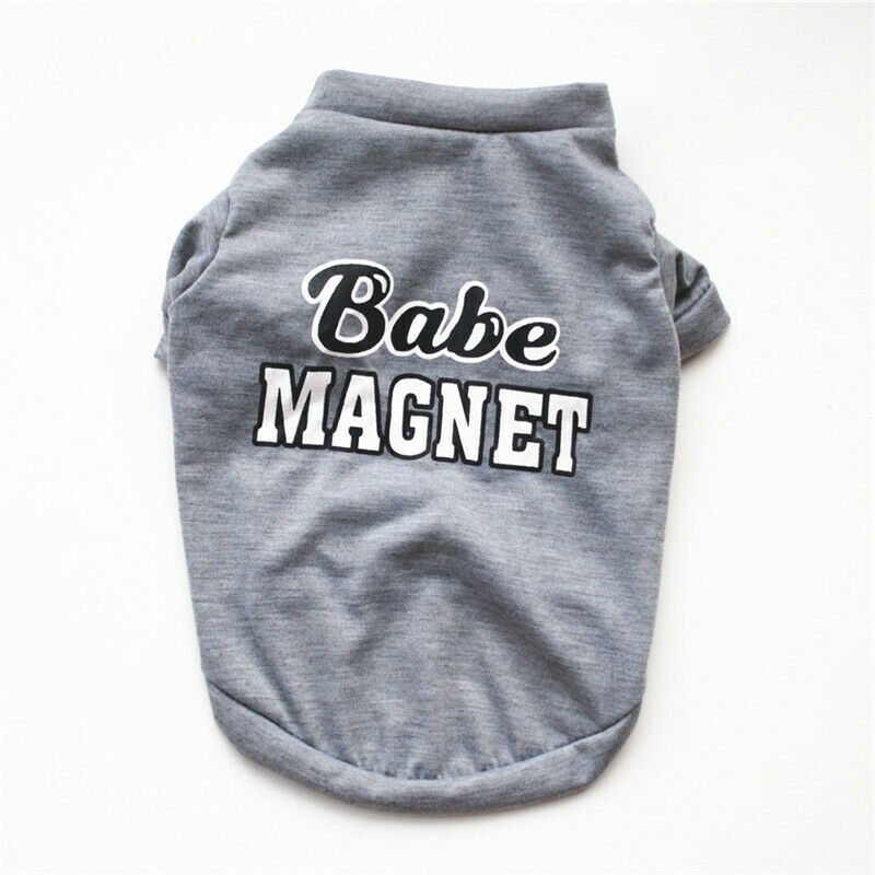 Dog Apparel - Small Dog Clothes - Chihuahua Sweater Coat - Pet Apparel - Babe Magnet / M