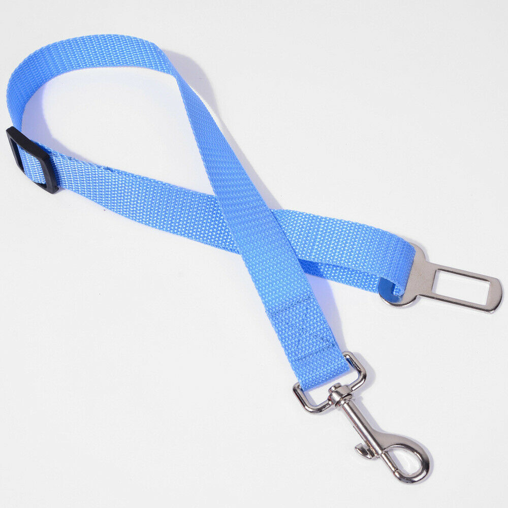 Pet Collars & Harnesses - Harness Collar Dog Seat Belt Leash - Car Restraint Safety Lead - LIGHT BLUE